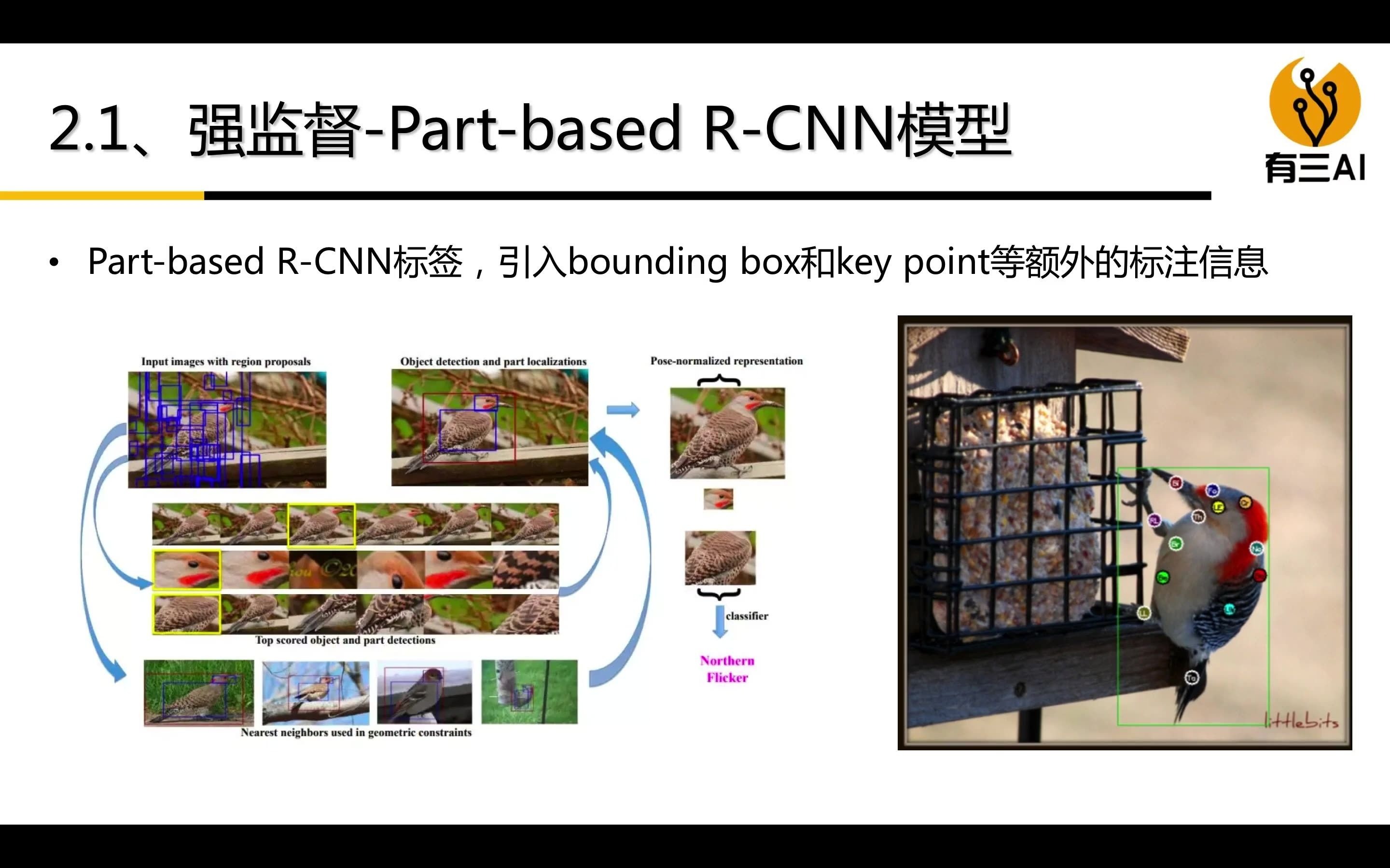 深度学习之图像分类:细粒度图像分类(第3.2节强监督模型)哔哩哔哩bilibili