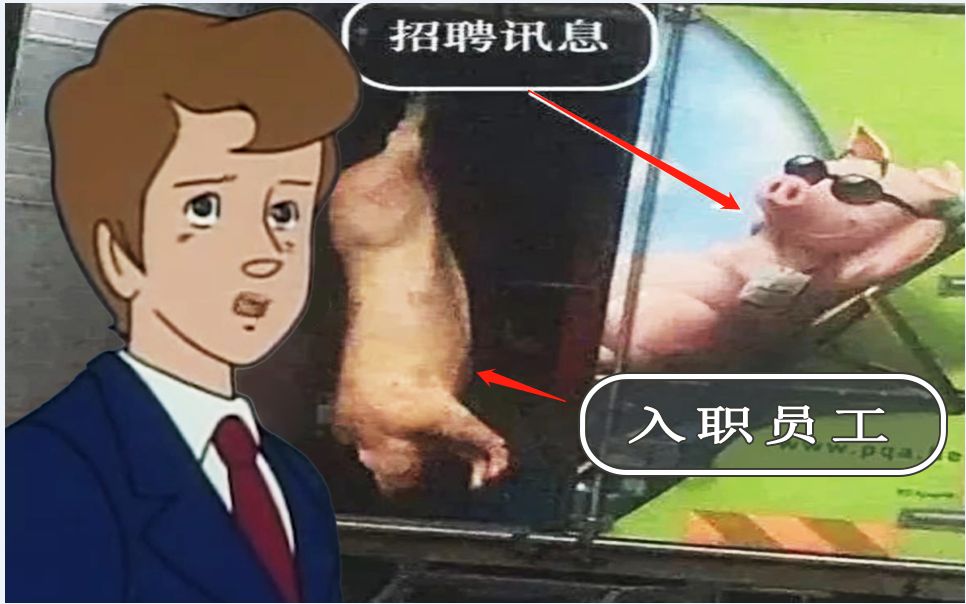 [图]这就是杀猪盘？！