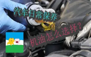 Download Video: 聊聊汽车机油怎么选？【大猫说车】