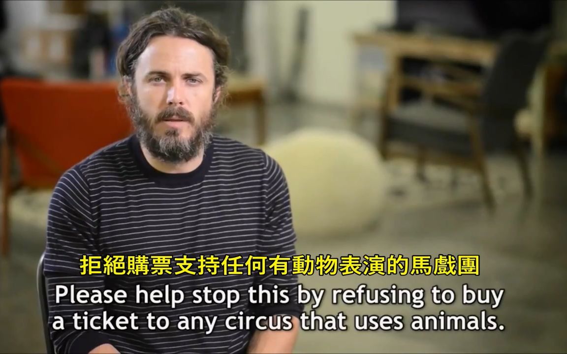 [图]马戏团：你的快乐，我的噩梦 - Big Cats Abused in Circuses - PETA