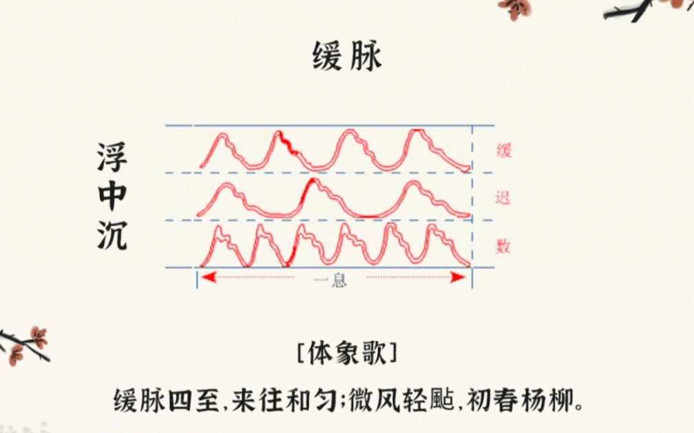 中医脉诊骤歌诀首分浮沉,二辨虚实;三去长短,四算疾迟;五察脉形,样样皆知.哔哩哔哩bilibili