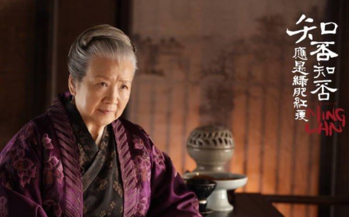 吴大娘子特意带来齐国公府近况(不亏是京城妇人,个个眼睛雪亮)