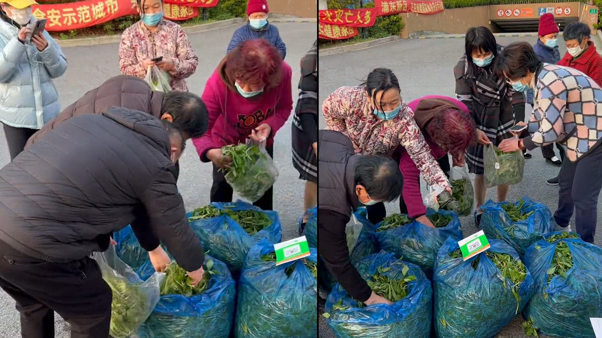 [图]公公开车带几百斤自家种的小菜卖给邻居，价格随心意给：雪中送炭