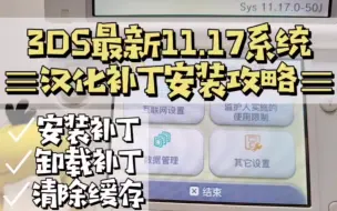 Download Video: 3DS汉化补丁安装教程，适用于最新11.17系统！2023版beta1