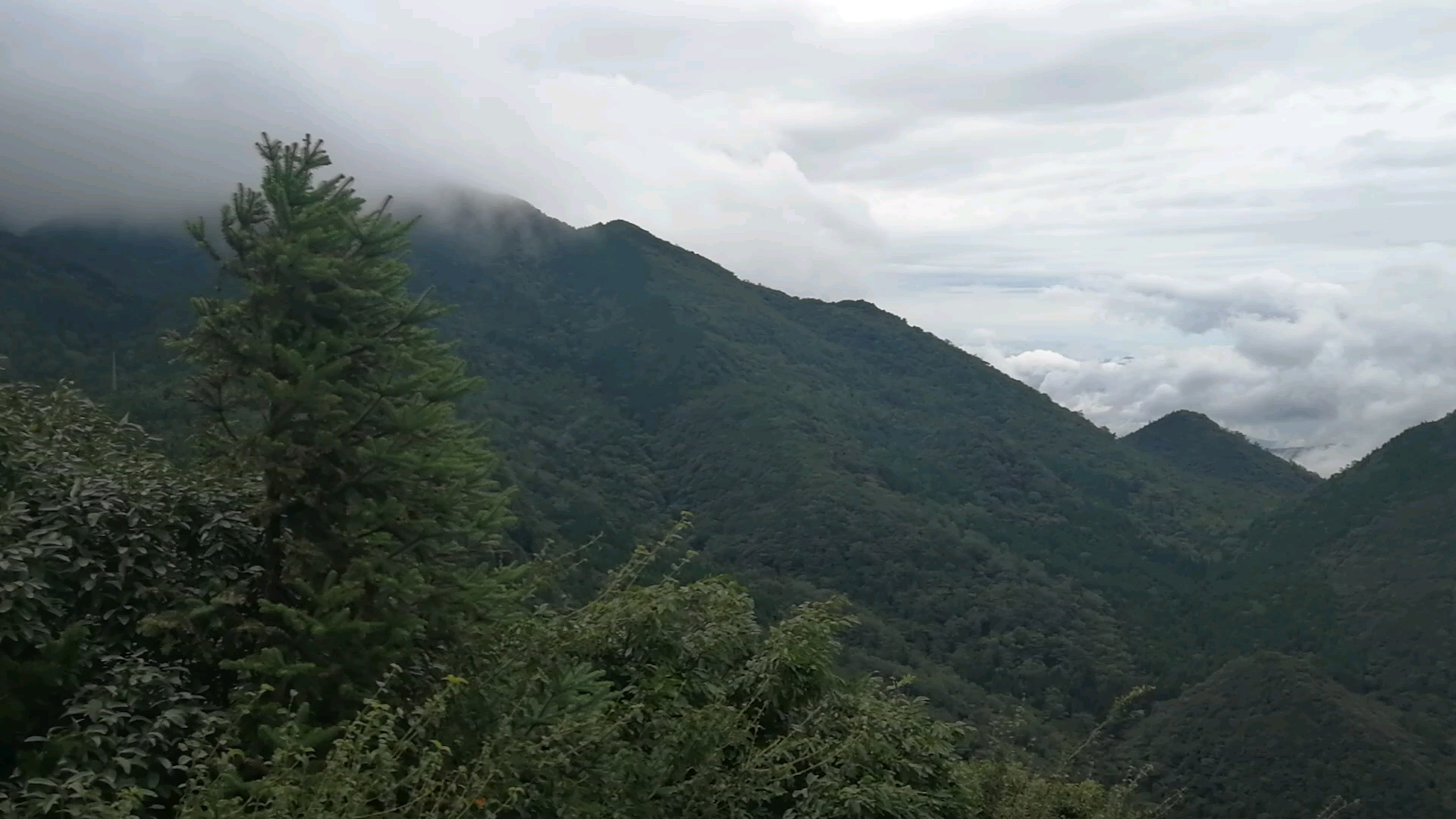 [图]重庆的山