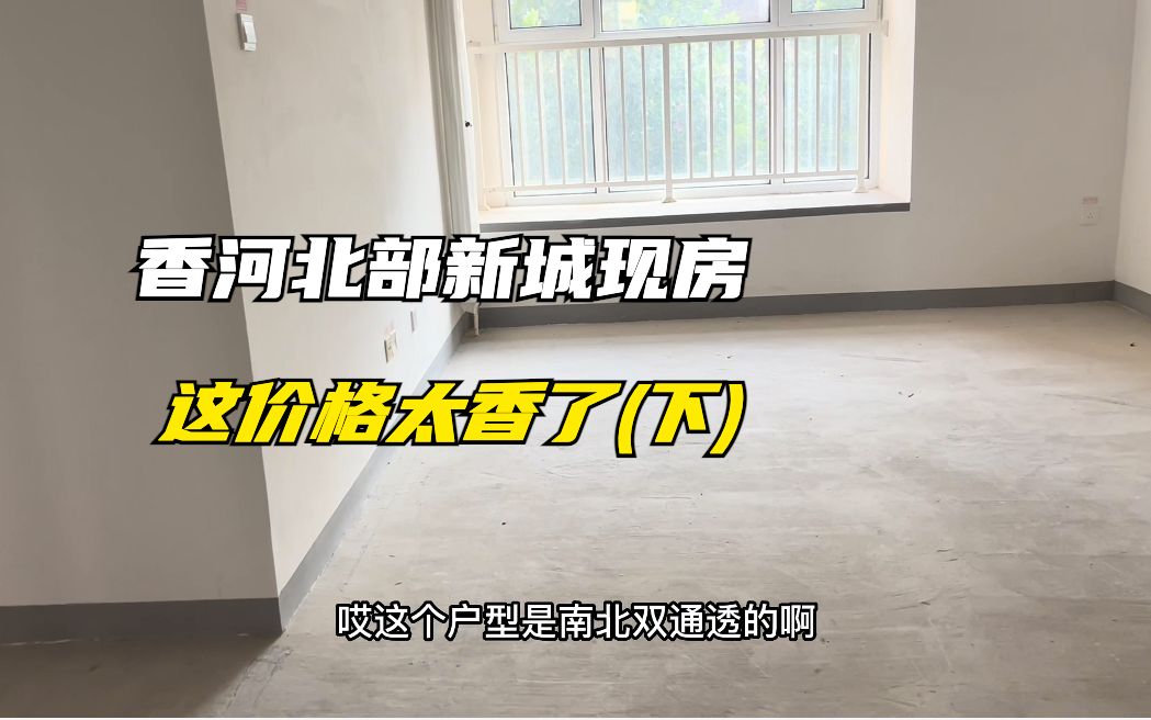 香河北部新城最大社区惊现6000多/平的现房,这价格太香了!(下)哔哩哔哩bilibili