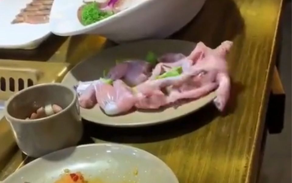 [图]【慎入】肉成精了！餐桌上的一块肉突然动了起来！吃饭的人吓尿了！