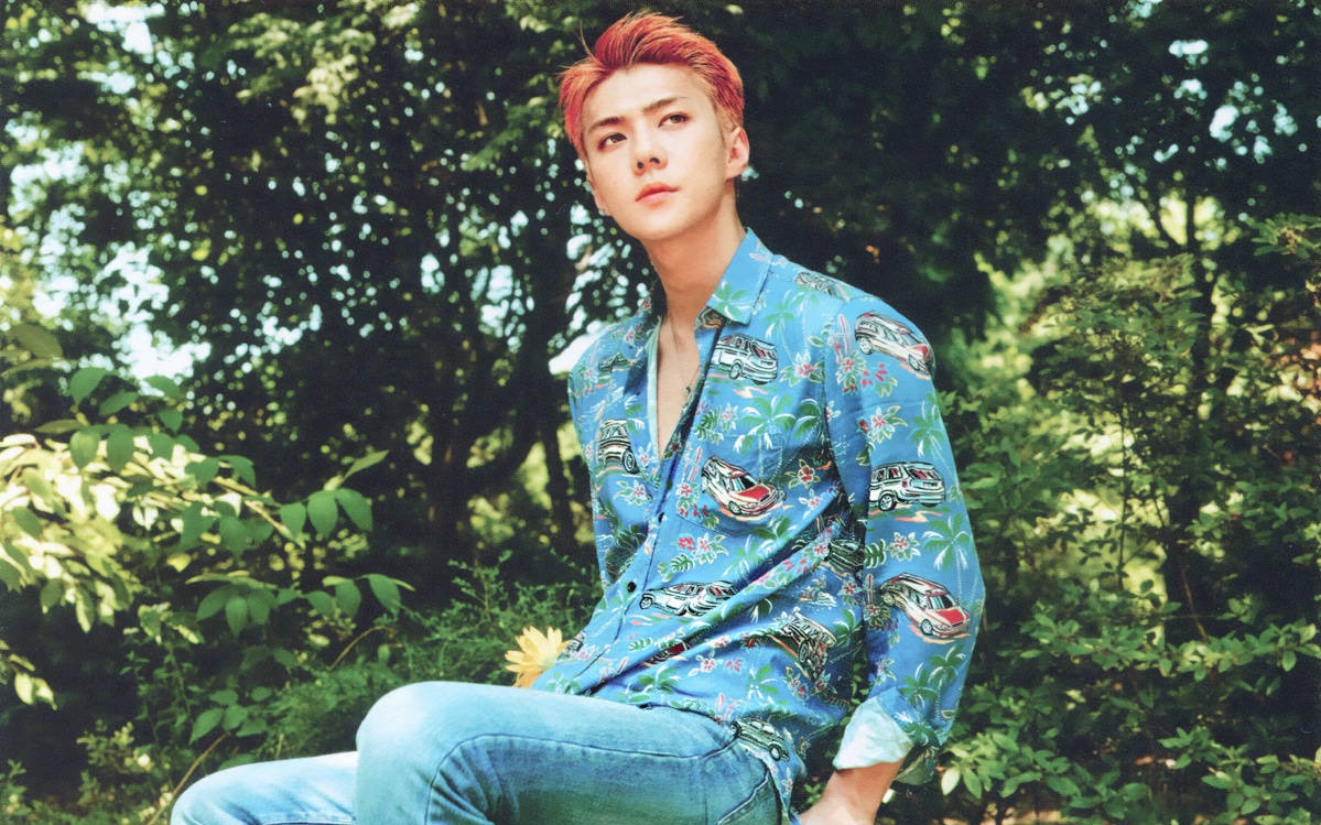 大白小白都是白白