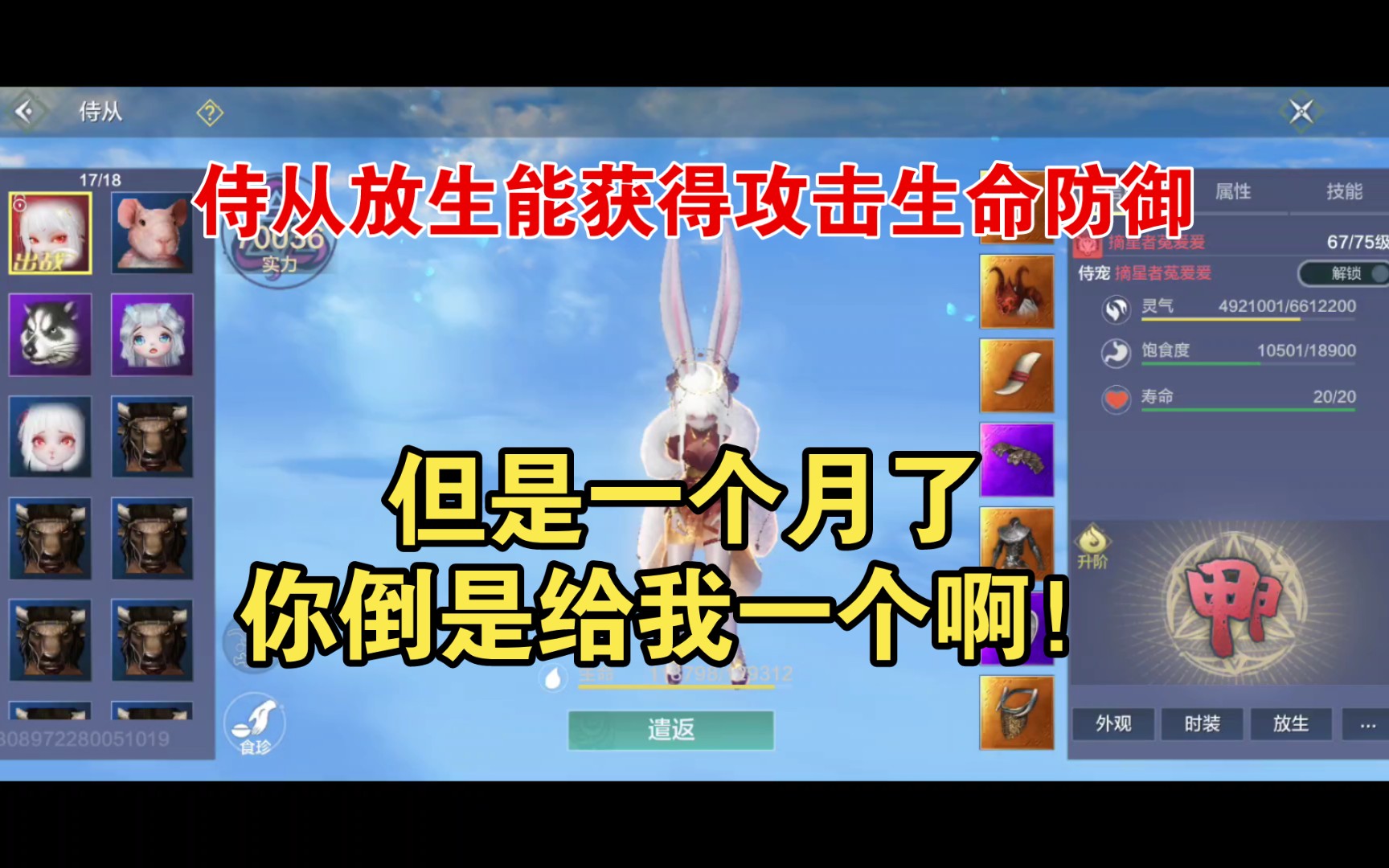 妄想山海:侍从放生能获得攻击生命防御,但是.