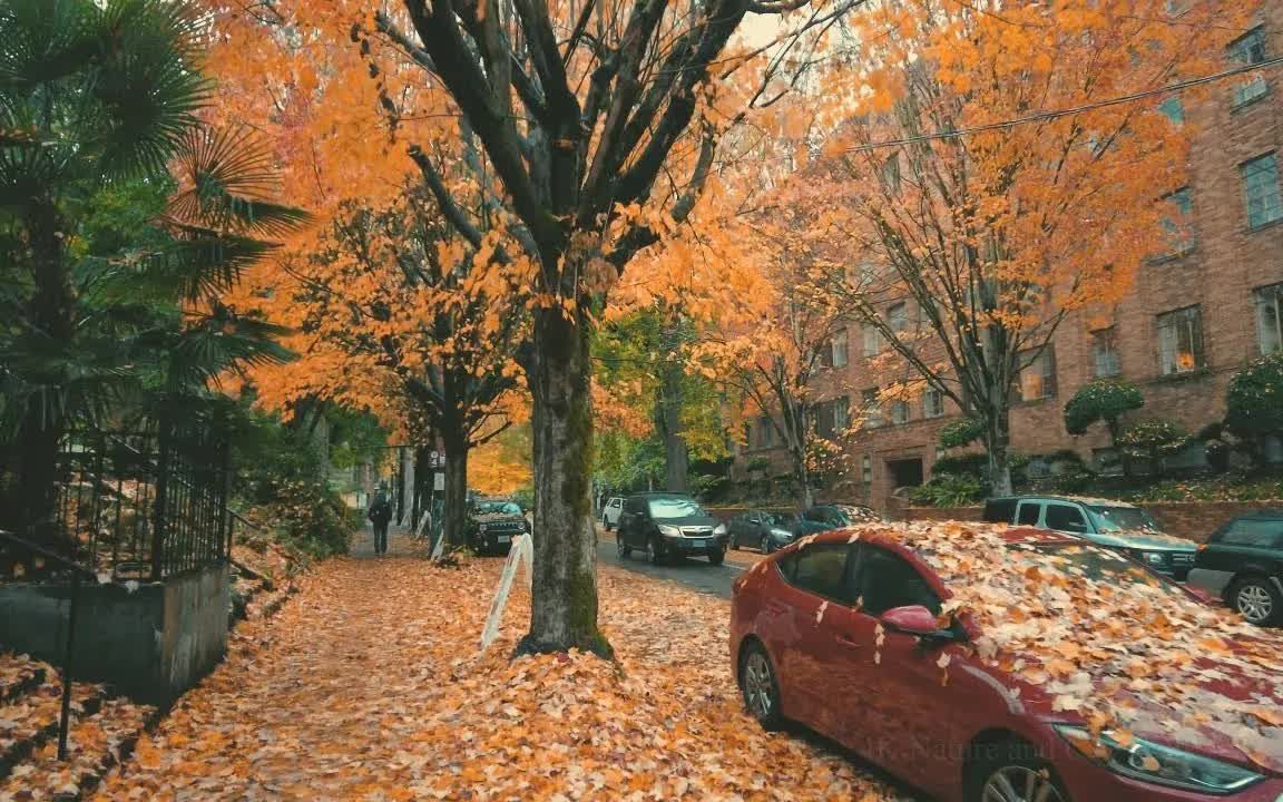 [图]带你走在异国的街道上，实拍波特兰沿路街景，不得不说，美得一塌糊涂。