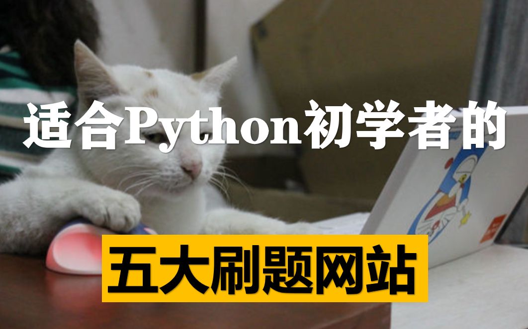 适合python语言初学者的五大刷题网站,你用过哪几个?哔哩哔哩bilibili