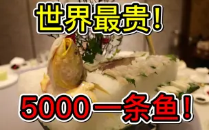 Download Video: 【食酒vlog.68】在世界最贵宁波菜5000一条大黄鱼和龙虾山吃到撑（甬府）