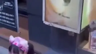 霓虹国宠物店是斯国一的