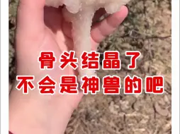 Tải video: 【微拍堂】骨头结晶了 不会是神兽的吧