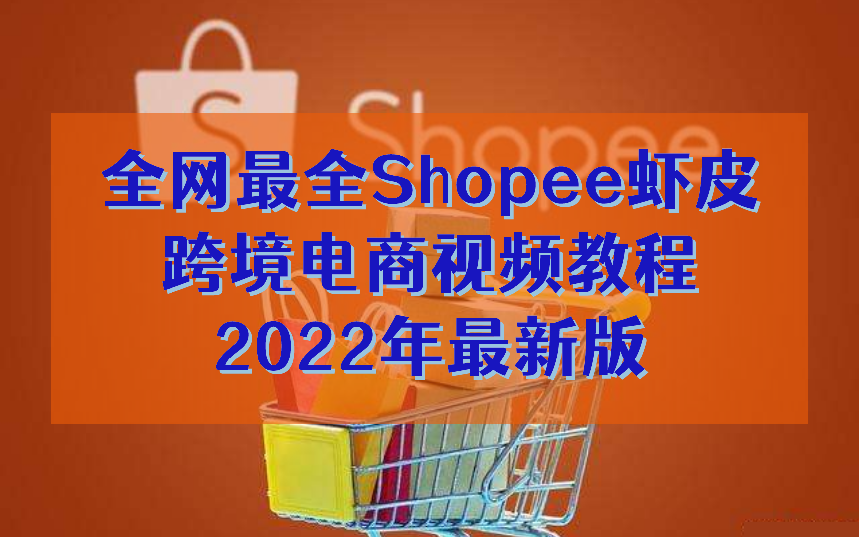 全网最全Shopee虾皮跨境电商视频教程2022年最新版(从入门到精通,手把手教学)哔哩哔哩bilibili