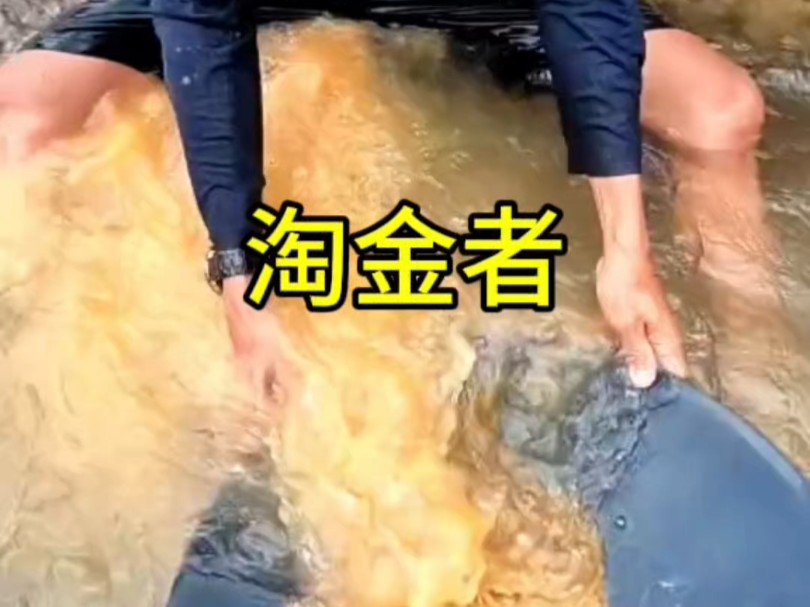 原来淘金客是这样淘金的