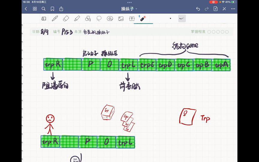 自用复盘:色氨酸操纵子的调控机制哔哩哔哩bilibili