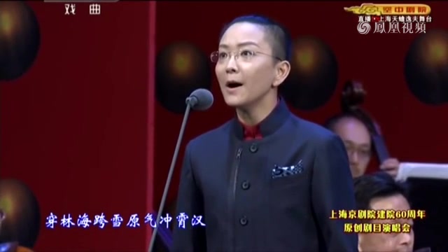 王珮瑜《智取威虎山》选段