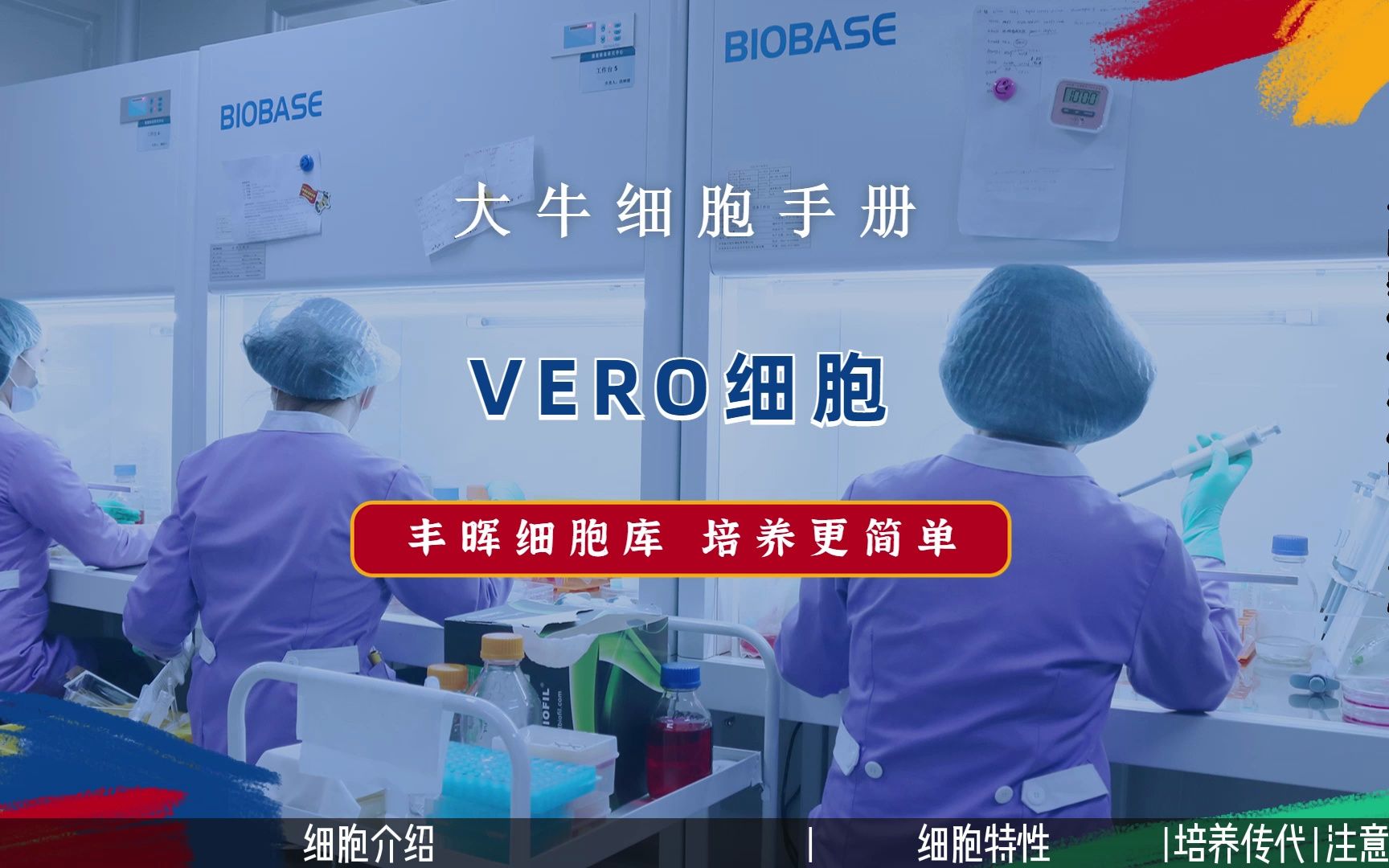 丰晖生物细胞库培养手册:VERO细胞培养,非洲绿猴肾细胞培养攻略.哔哩哔哩bilibili