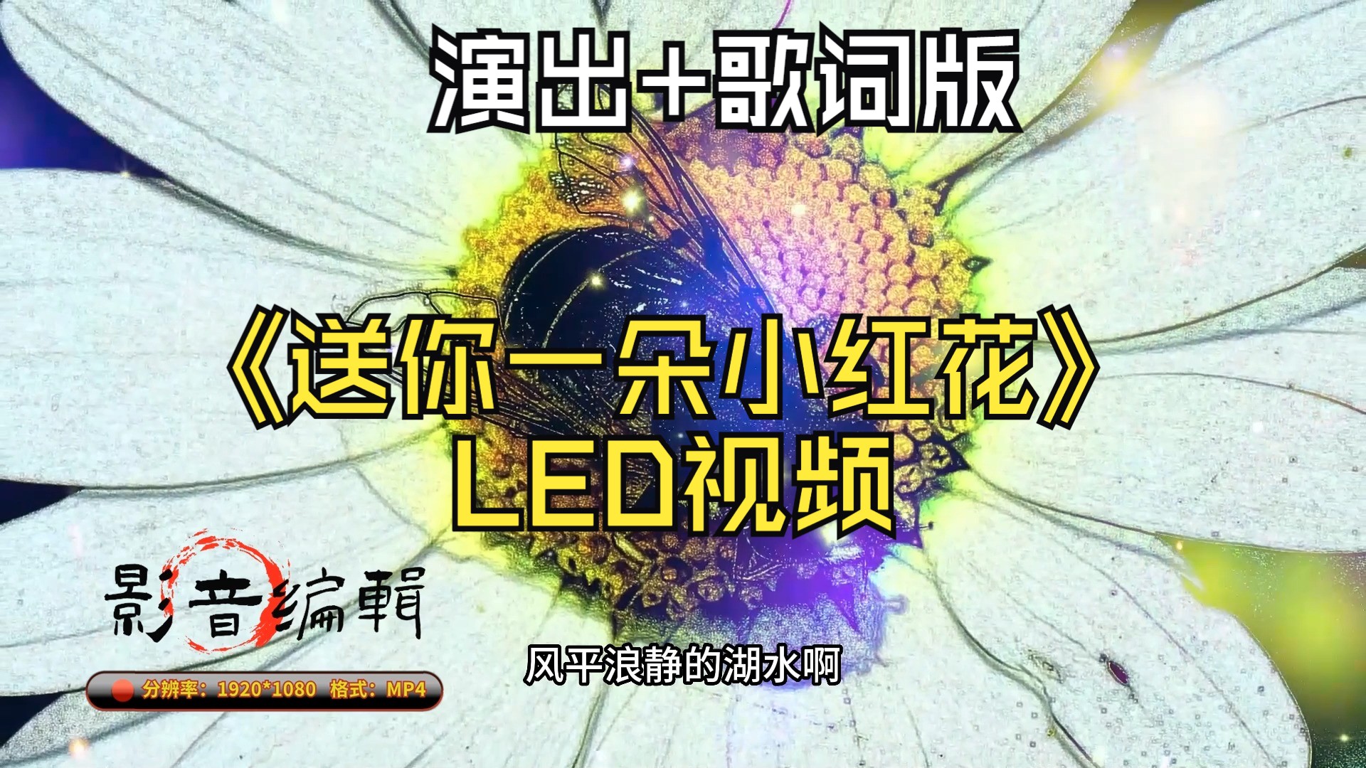 【视频制作】《送你一朵小红花》led视频(原唱 字幕)