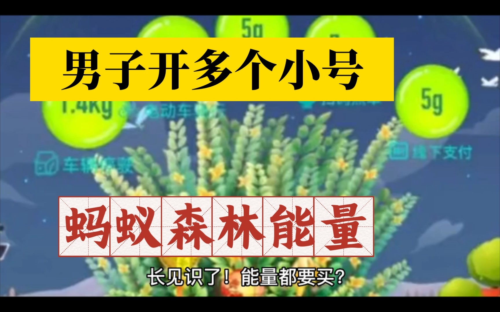 能量都要买?男子开多个支付宝小号“偷取”蚂蚁森林能量,给蚂蚁森林浇水,没想到后来居然被封号,哔哩哔哩bilibili