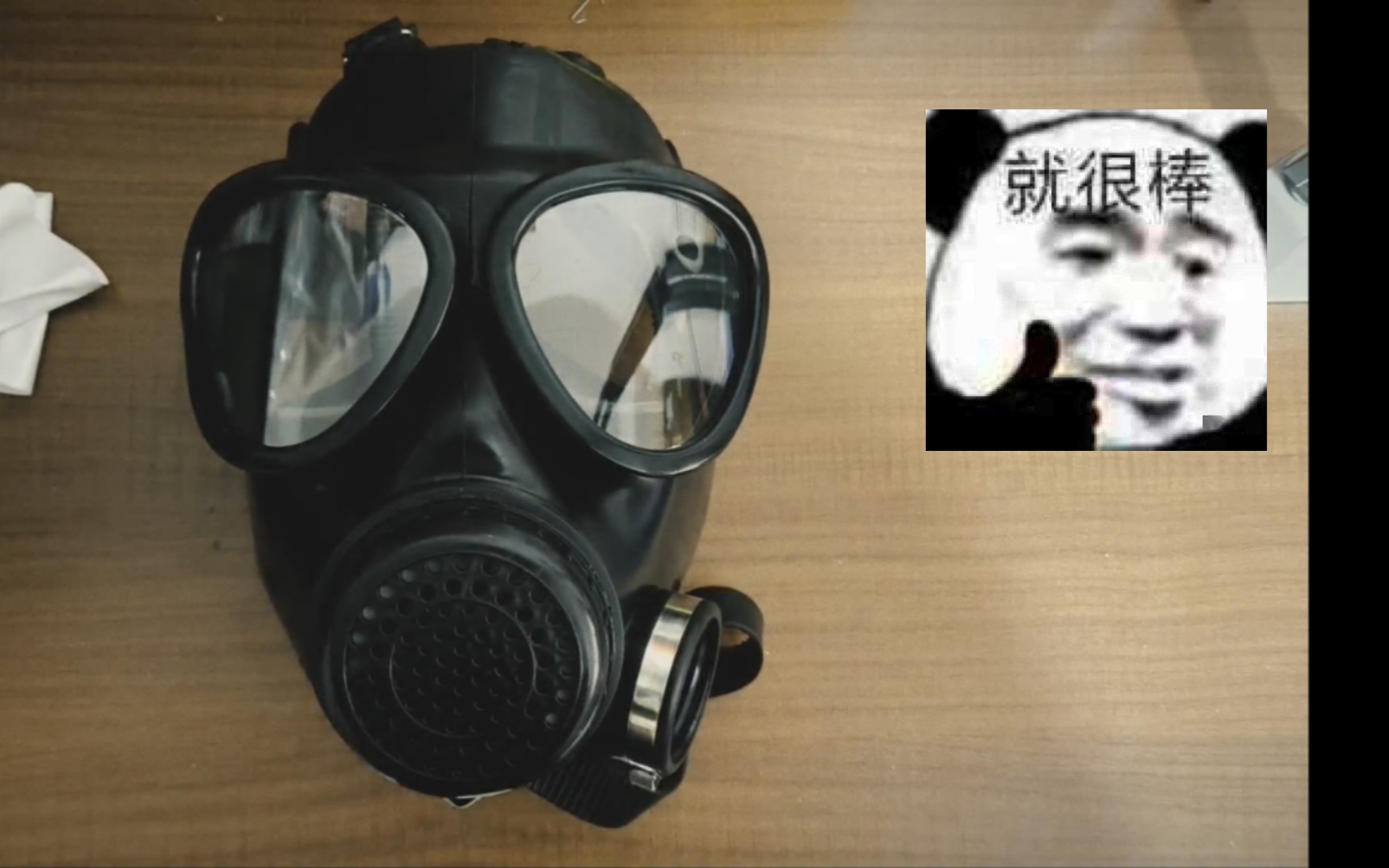 fmj10式防毒面具图片