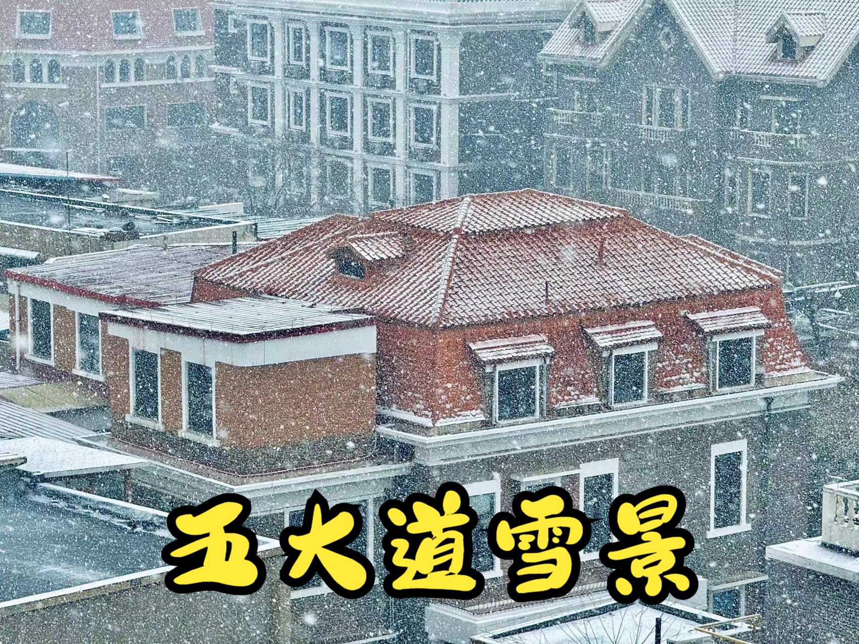 天津五大道雪景图片