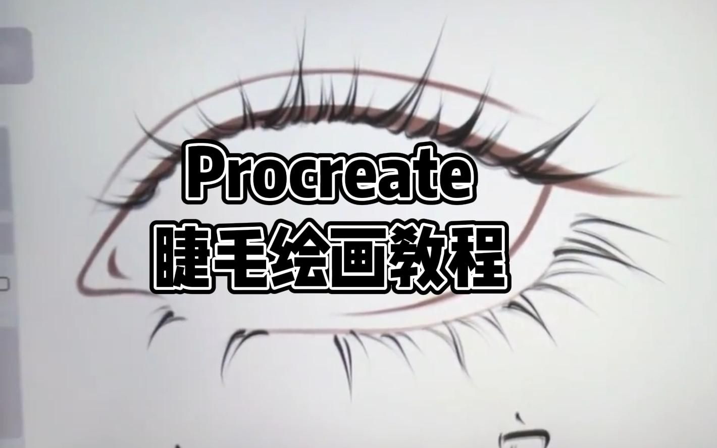 【Procreate】普通睫毛绘画教程|太阳花睫毛,一学就会!哔哩哔哩bilibili