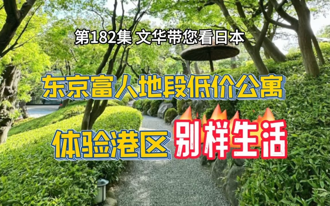 东京富人地段低价公寓 | 体验港区别样生活 | 时尚个性银灰外观 | 东京塔【日本房产】【留学】哔哩哔哩bilibili