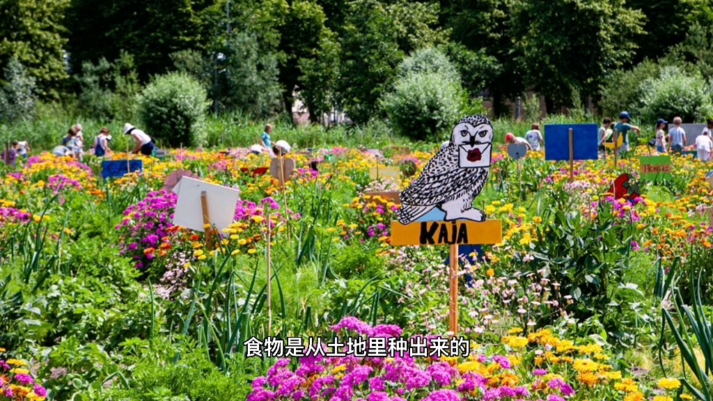 [图]食物是从哪里来的，菜园学堂告诉你，食物是从土地中种出来的。