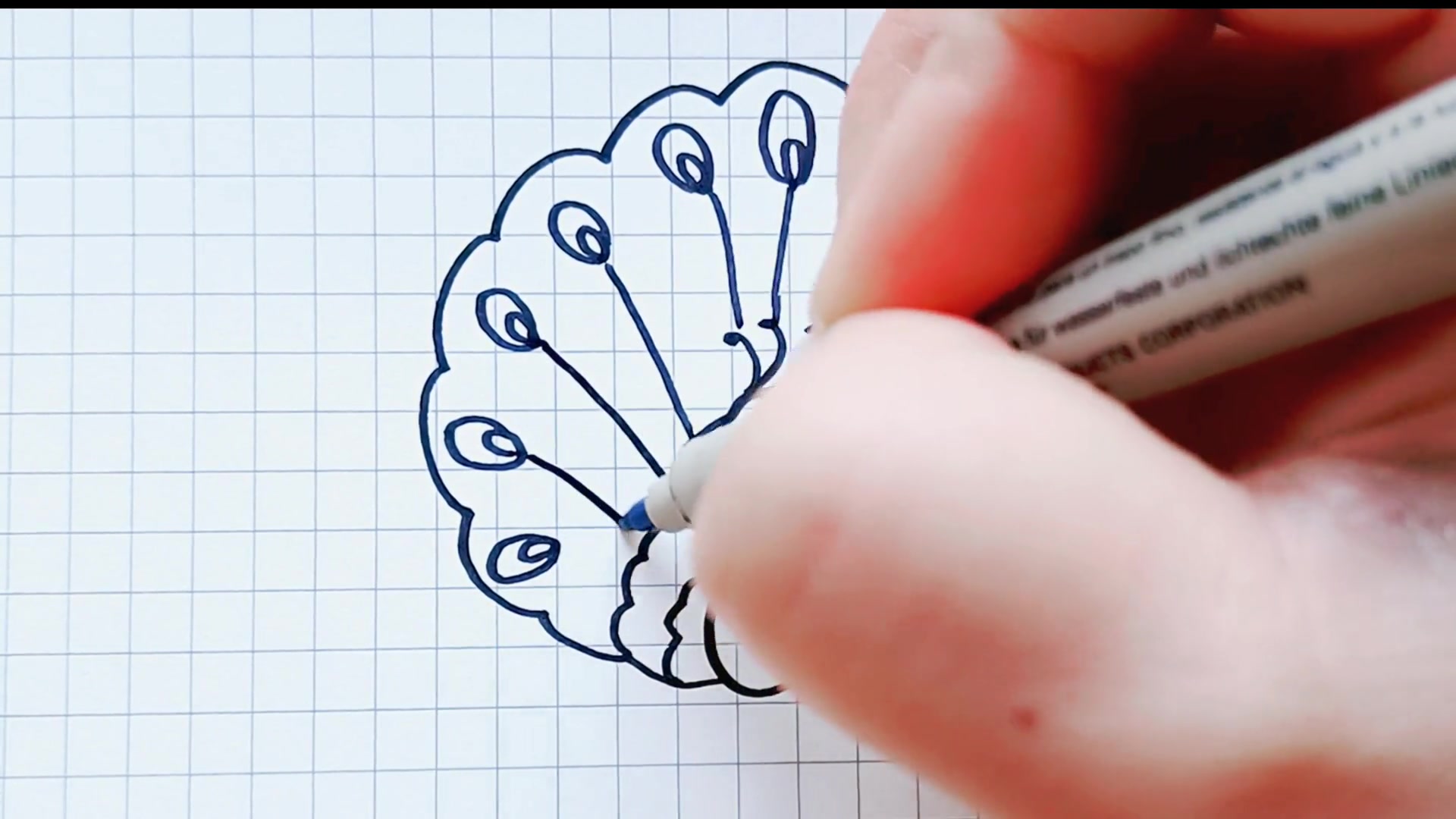 教你简单画孔雀