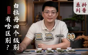 Download Video: 一篇看懂，白牡丹四个级别应该怎么选？