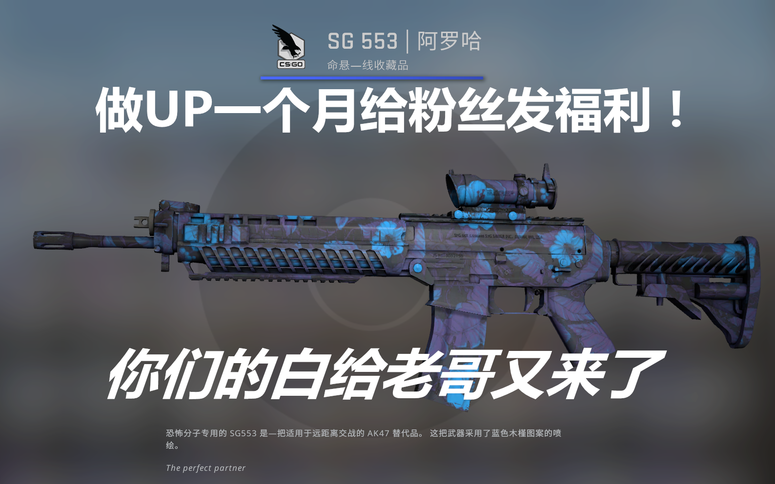 sg553阿罗哈模板图片