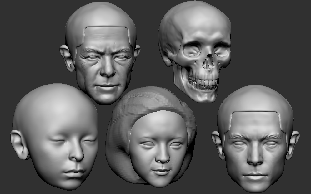 【中文教程】zbrush人体头骨建模雕刻基础视频教程