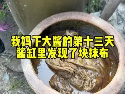 我不理解我妈为啥往酱缸里撇抹布