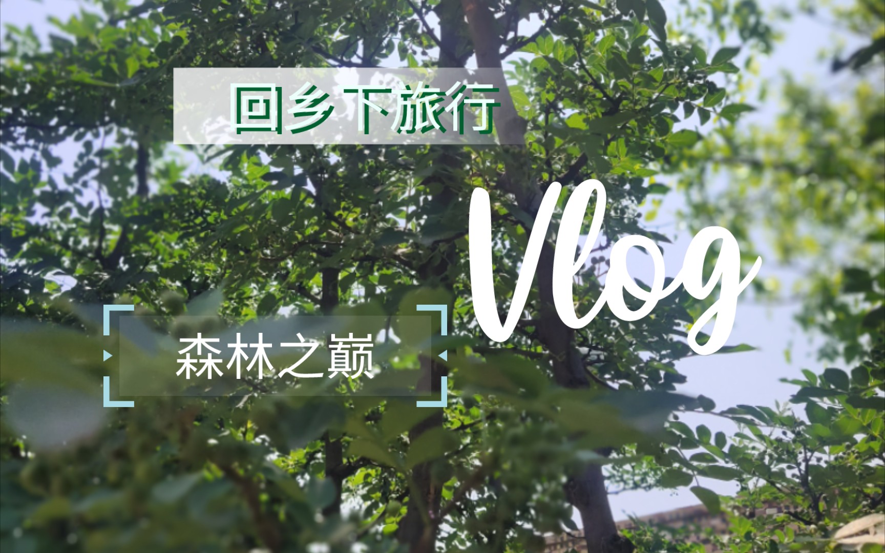 [图]出行vlog1－－－清江一曲抱村流，长夏江村事事幽。