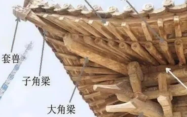 [图]杨杰老师讲述普光寺：唐代建筑特征 壹 “顶上乾坤” #太