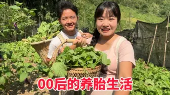 下载视频: 00后小两口在家养胎，平凡无奇的农村里，藏着最惬意的生活