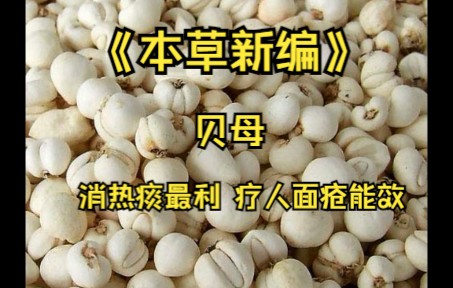 [图]《本草新编》贝母 消热痰最利 疗人面疮能效