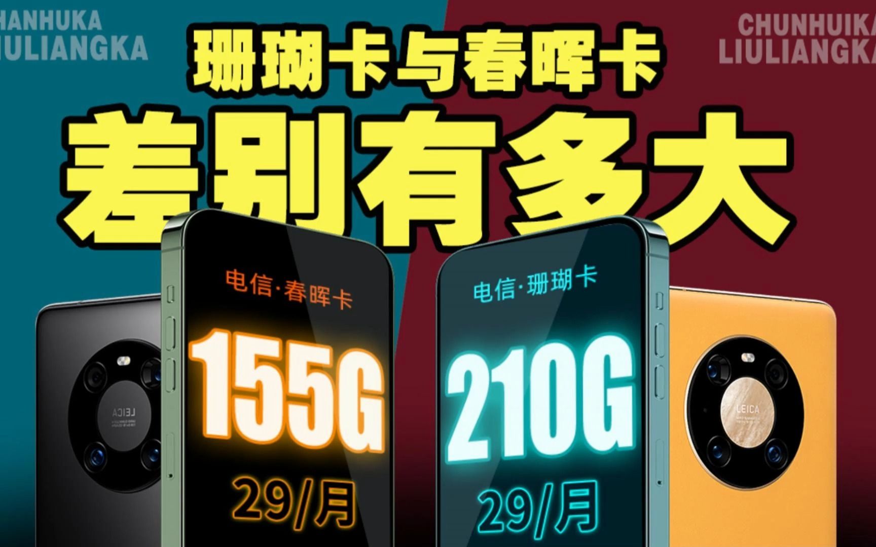 【春晖卡vs珊瑚卡】流量卡界大富翁究竟谁更胜一筹!29元210G还送B站大会员!哔哩哔哩bilibili