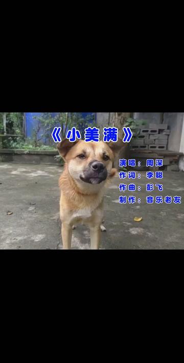 演唱:周深 作词:李聪 作曲:彭飞 制作:音乐老友 风声在呢喃