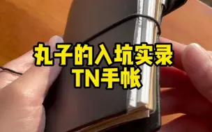 Video herunterladen: 旅行手帐的天花板——Midori TN 手帐 丸子推荐