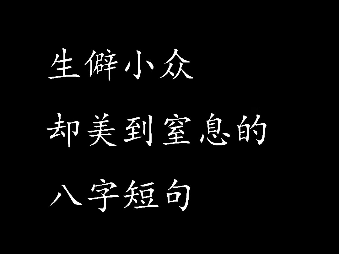 “生僻小众却美到窒息的八字短句”哔哩哔哩bilibili