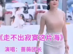 Télécharger la video: 一首老歌《走不出寂寞这片海》真的好听!