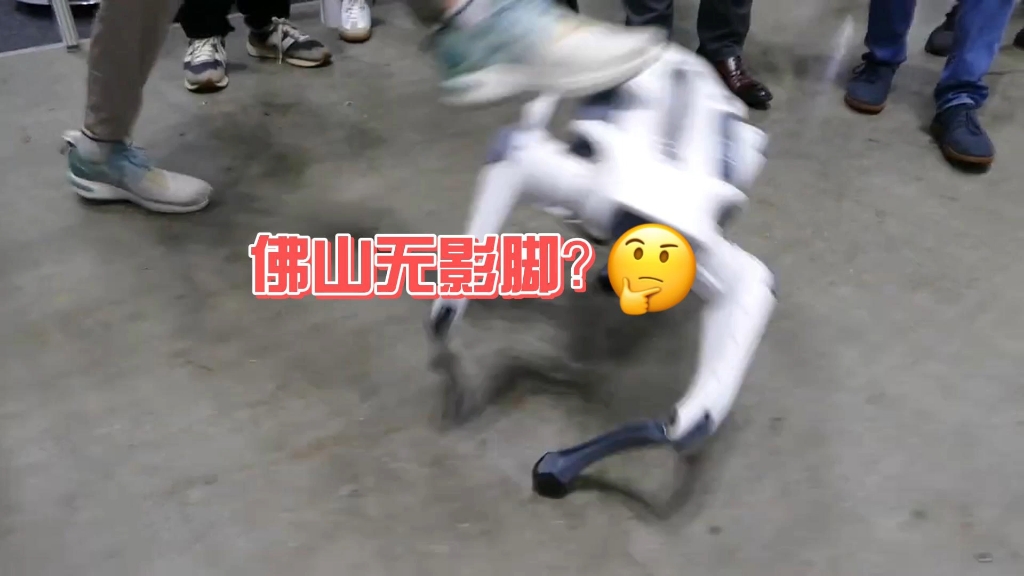 佛山无影脚与机器狗