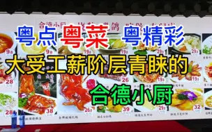 Download Video: 大受工薪阶层青睐的合德小厨，粤语中字幕