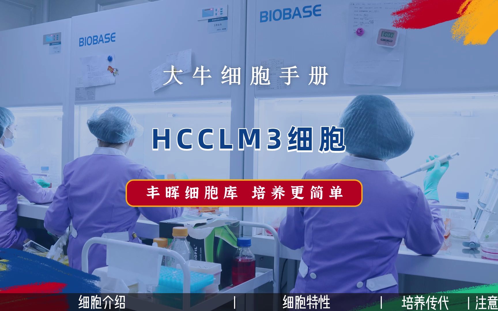 丰晖生物细胞库培养手册——HCCLM3细胞培养,人高转移肝癌细胞培养攻略.哔哩哔哩bilibili