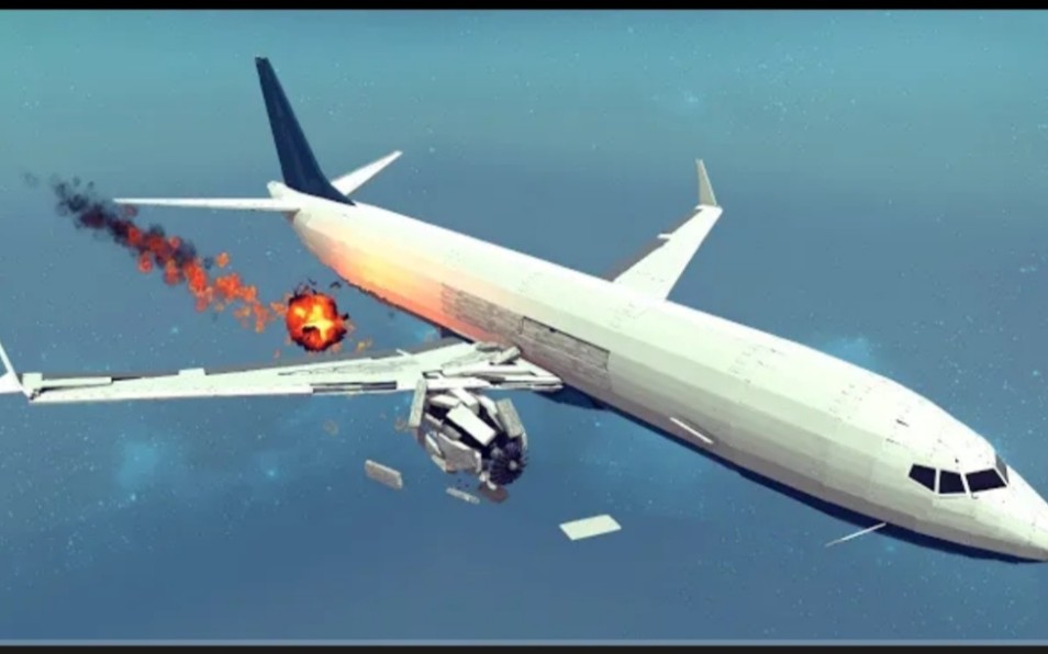 美国飞机相撞事故图片