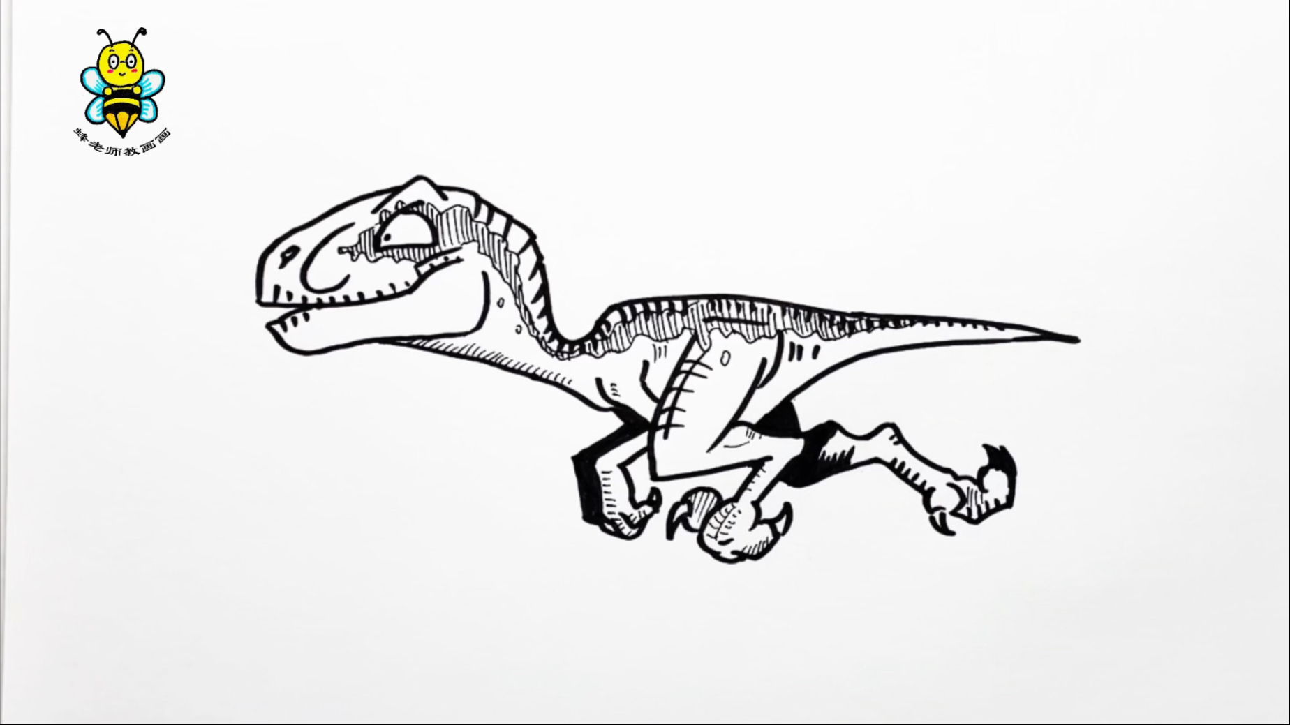 画迅猛龙,手绘恐龙教程