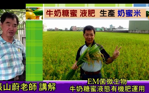 EM菌微生物牛奶糖蜜液态有机肥运用哔哩哔哩bilibili